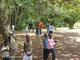 Basics Aburi Botanical Gardens Field Trip
