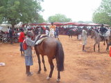 Ga Mantse Funeral at the Ga Mantse Palace, Feo Eyeo, Kaneshie