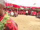 Ga Mantse Funeral at the Ga Mantse Palace, Feo Eyeo, Kaneshie