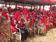 Ga Mantse Funeral at the Ga Mantse Palace, Feo Eyeo, Kaneshie